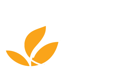 Campanha #DoeImaflora - Imaflora